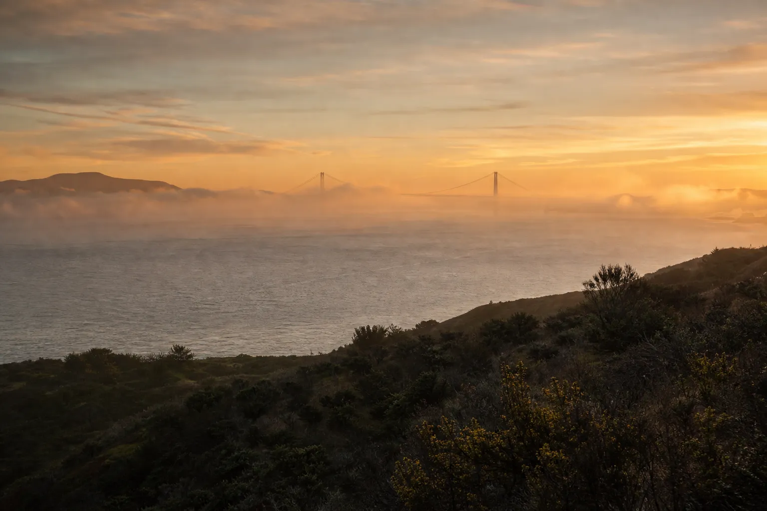 Fog drifting over the San Francisco Bay at golden hour